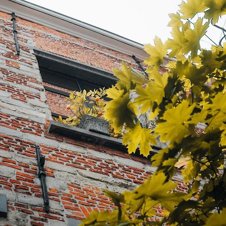Апартаменты Duplex In Historical Centre With Private Courtyard Антверпен Экстерьер фото